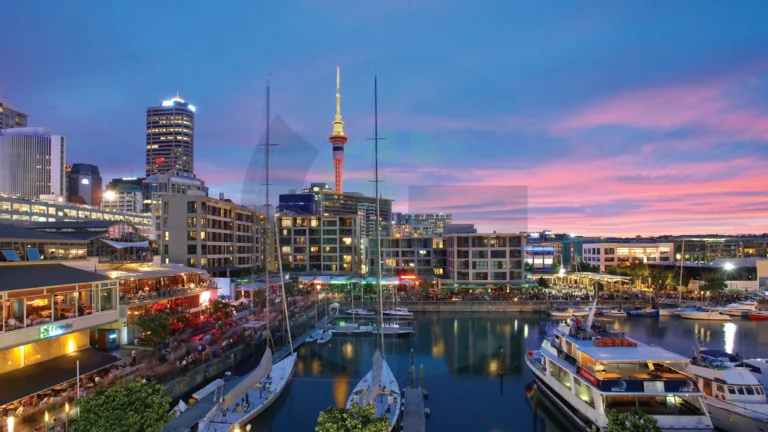 Study in New Zeland